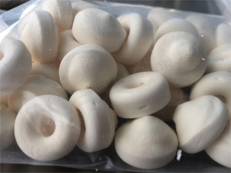 酸奶塊凍干：奶制品真空冷凍干燥機(jī)原理和凍干優(yōu)勢(shì)