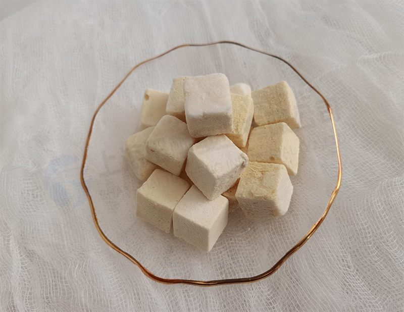 酸奶塊凍干，食品凍干機(jī)應(yīng)用于酸奶真空冷凍干燥