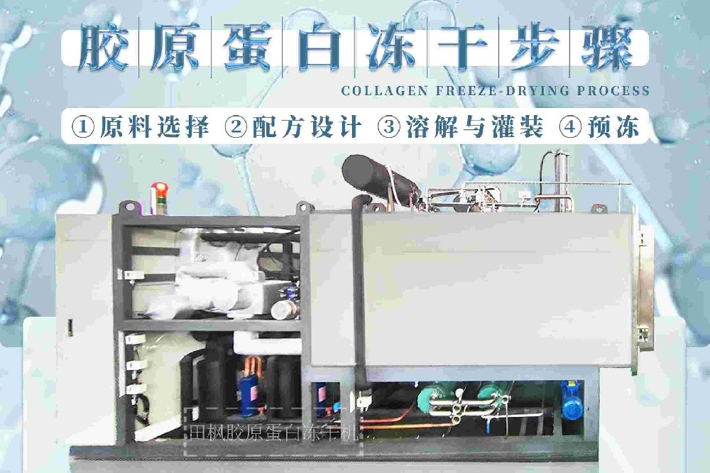 制藥凍干機：膠原蛋白的美容新科技