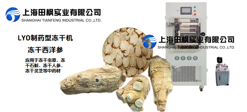 冷凍干燥機制作凍干西洋參的優(yōu)勢