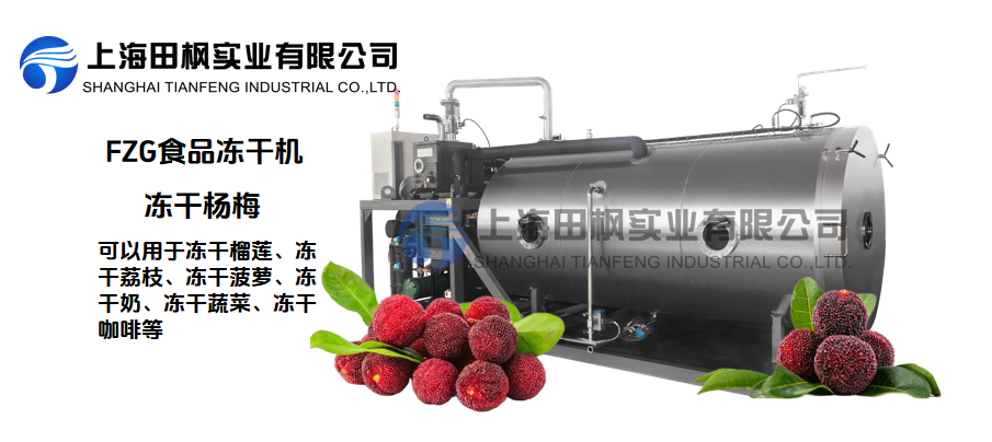 夏季冰鮮，楊梅凍干新保存方式