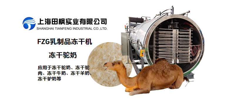 凍干駝奶：沙漠黃金的科技新生